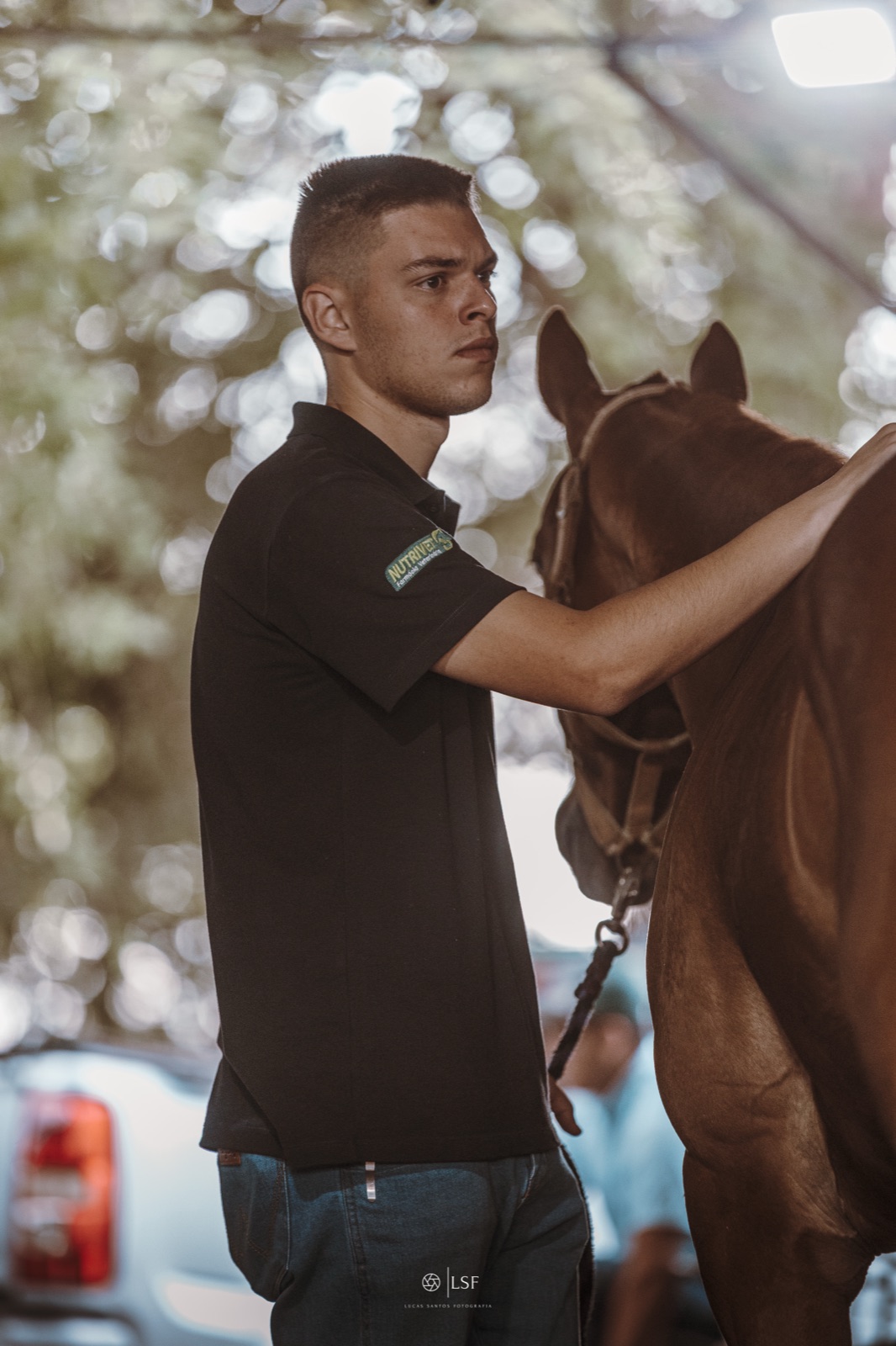 Veterinário da equipe Pro Equus com cavalo atleta