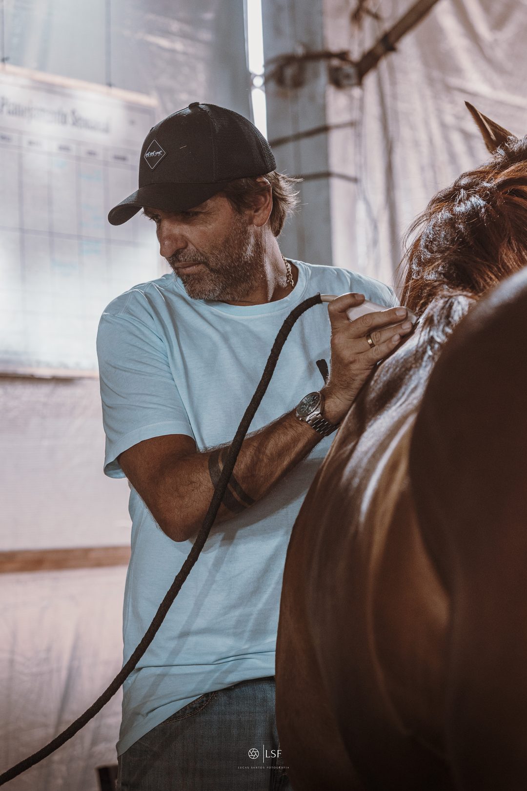 Condução de um cavalo atleta durante o atendimento no evento